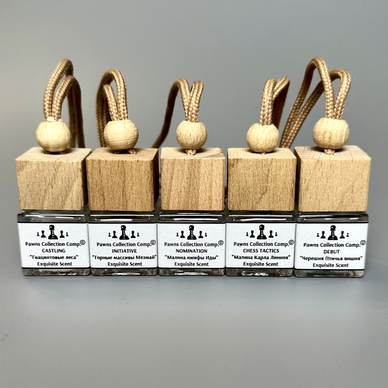 Автодиффузор для салона GAMBIT 8 мл цукаты с чабрецом и пряностями