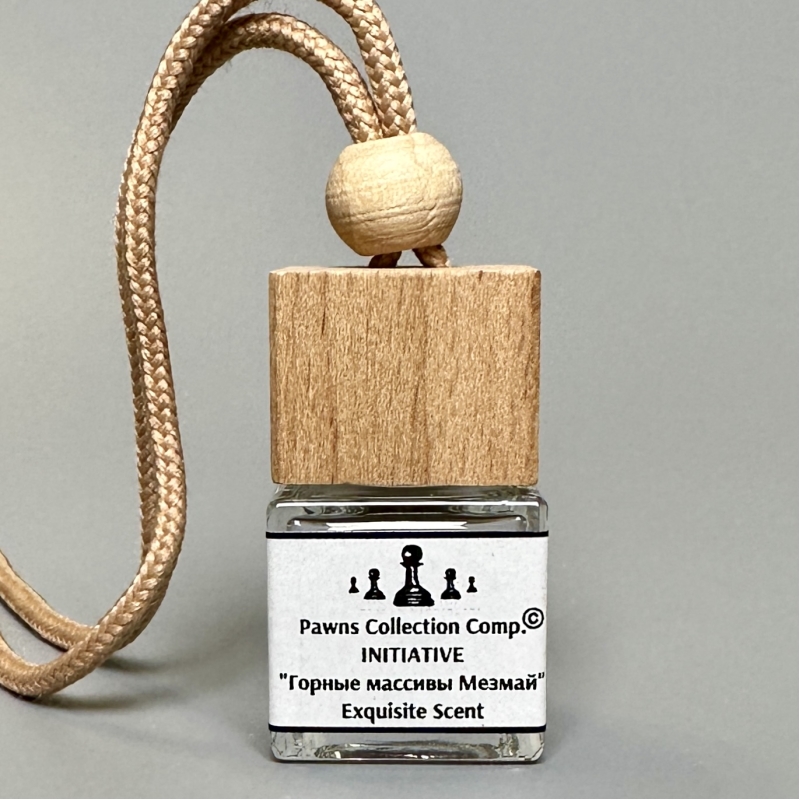 Изысканный комплект 2 в 1 диффузор и автодиффузор INITIATIVE 58 мл травяные ноты и эвкалипт